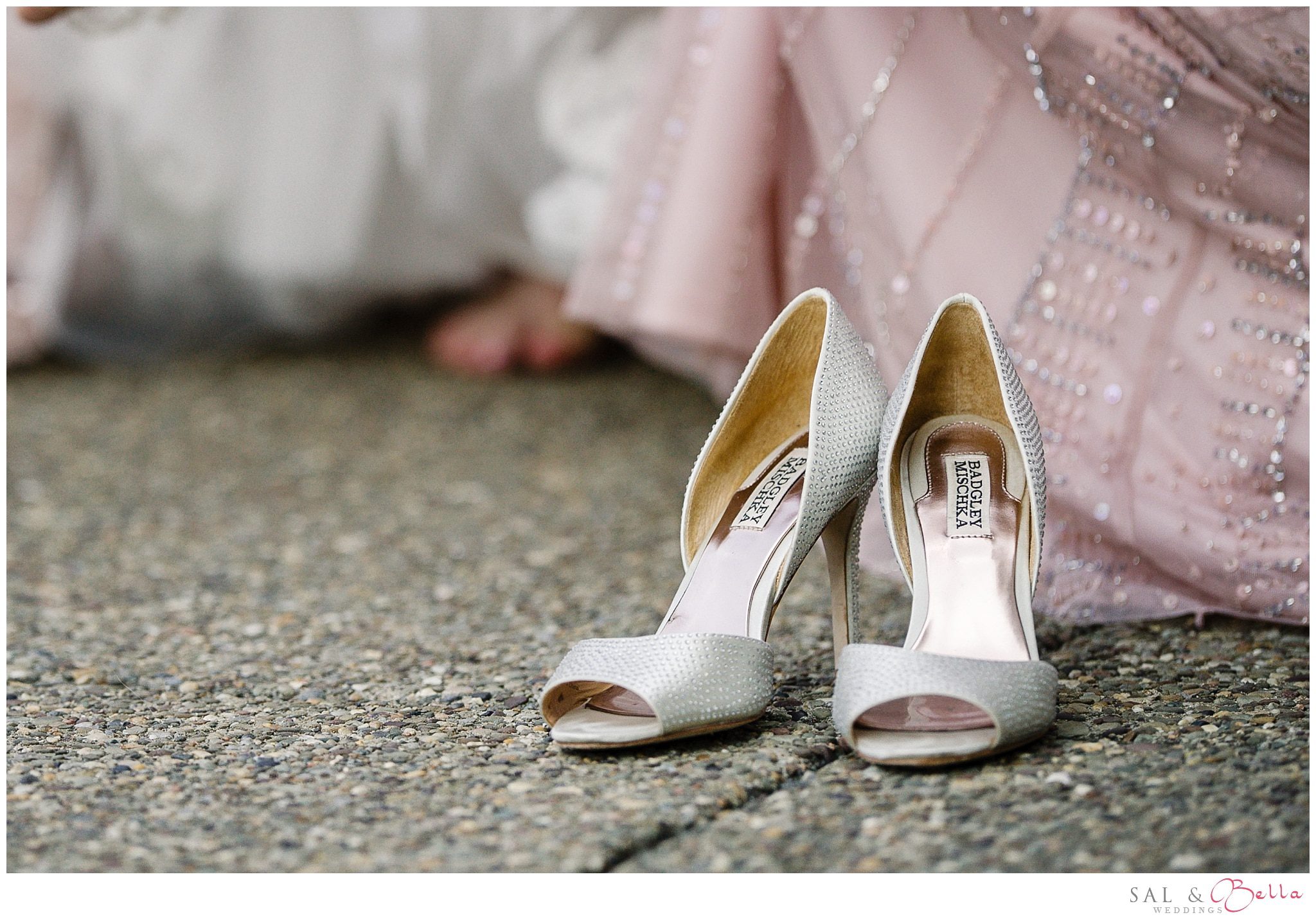 phipps conservatory wedding photos