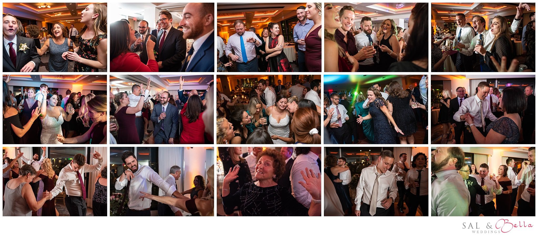 Schiemer entertainment reception at the renaissance