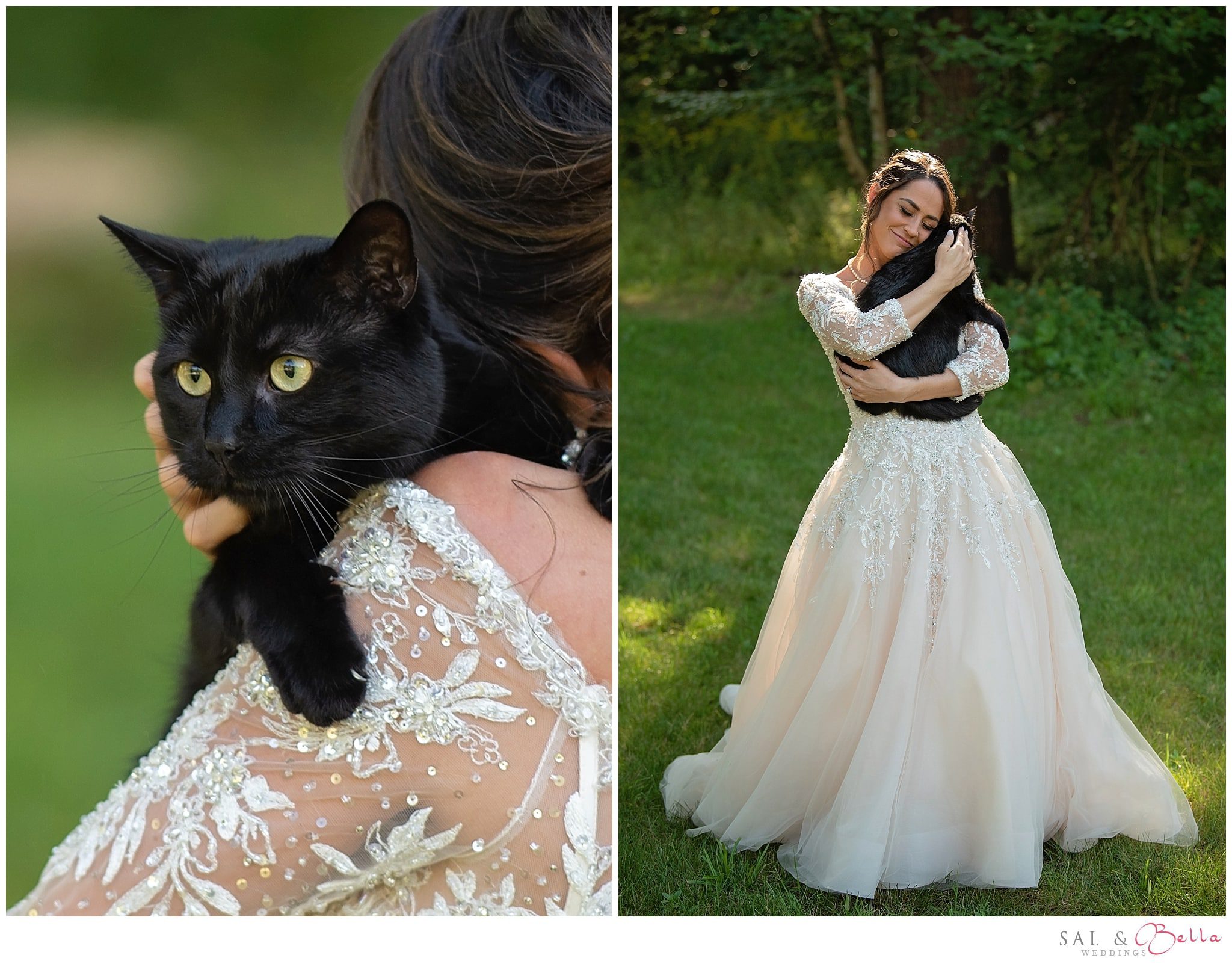 Bride hugging her little black cat during Seven Springs wedding