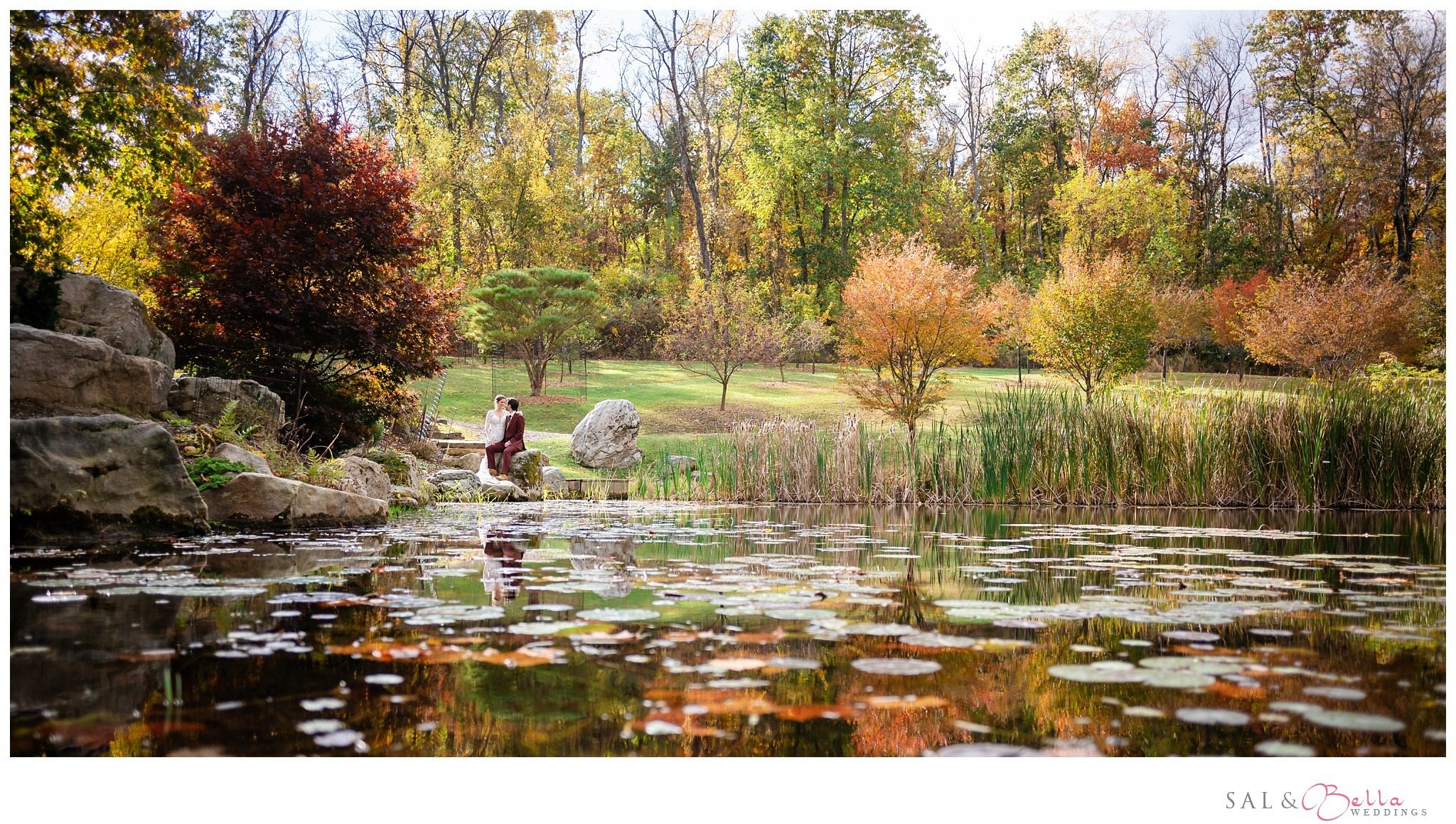 Newlyweds sitting together by the lotus pond, surrounded by water lilies and fall foliage at the Pittsburgh Botanic Garden.