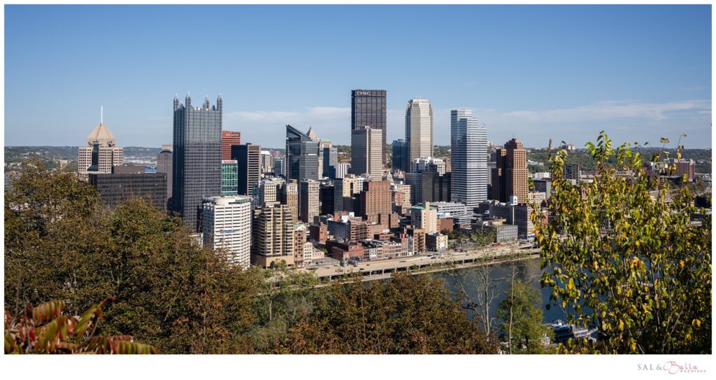 The Pittsburgh skyline from St. Mary of the Mount. 